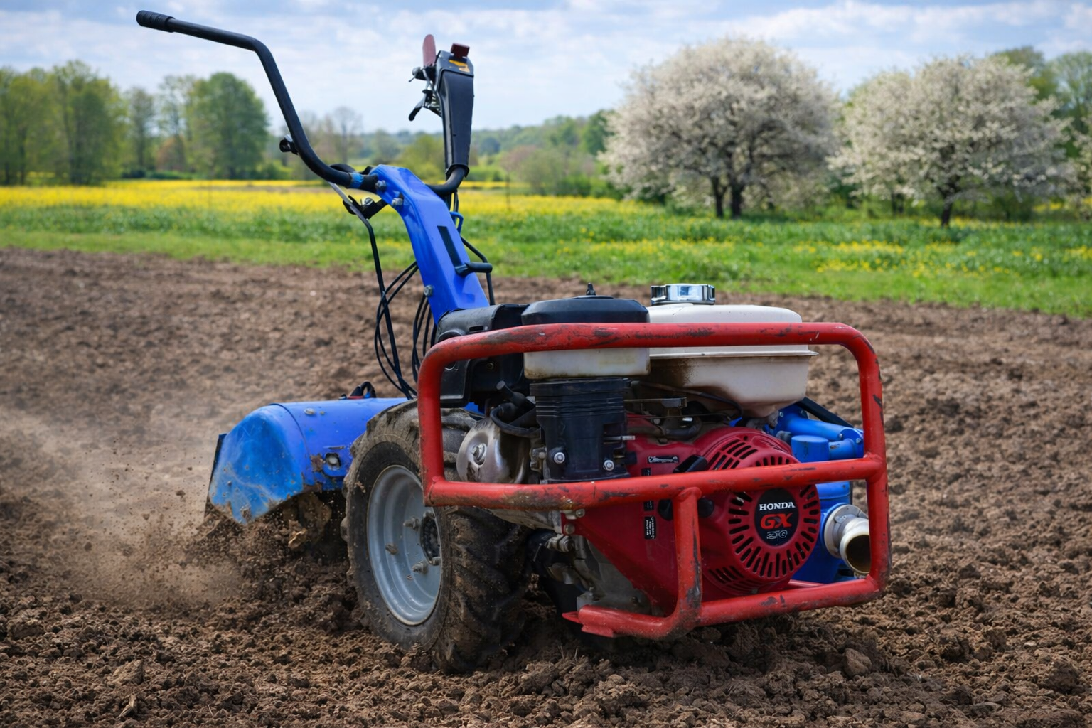 Glebogryzarki z Tłem